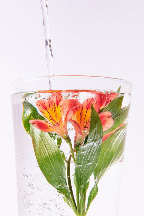 The Benefits of Functional Hydration